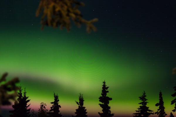 Alaska foto - Noorderlicht