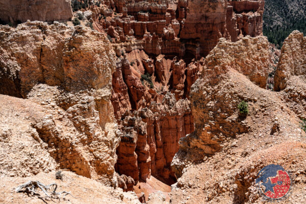 Bryce Canyon Foto's