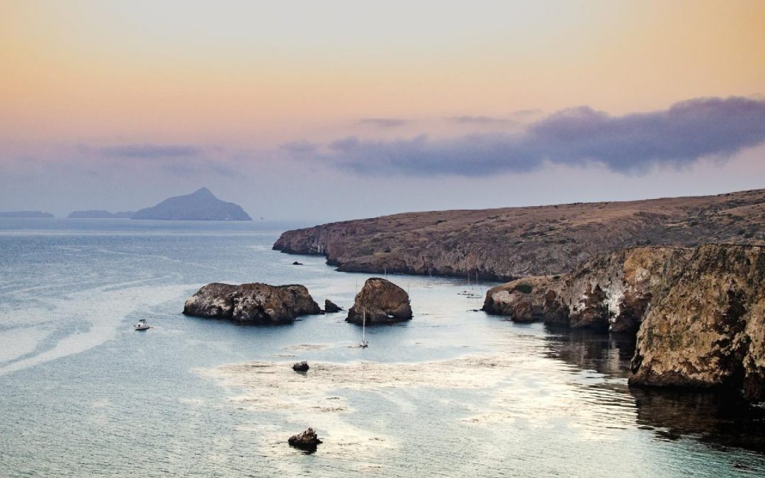 Channel Islands – Californië – Een unieke natuur!