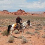 Cowboy in Valley of Fire