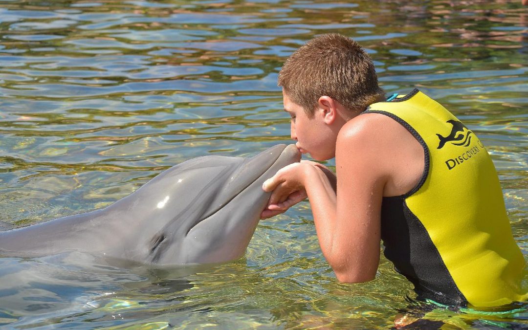 Discovery Cove – Voor wie wil zwemmen met dolfijnen!