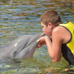 Discovery cove