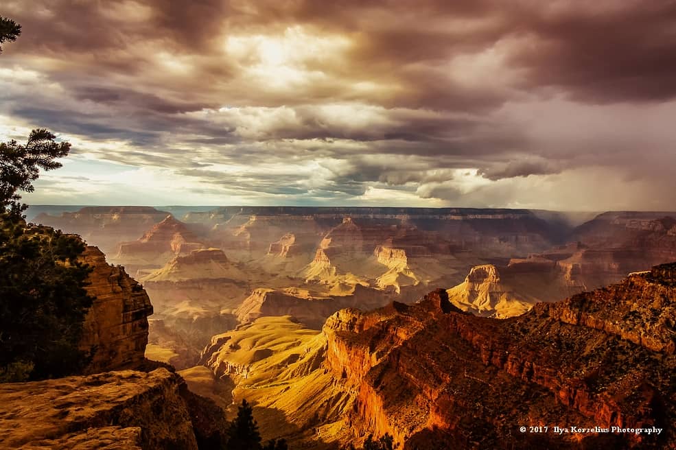 Ilya Korzelius - Grand Canyon