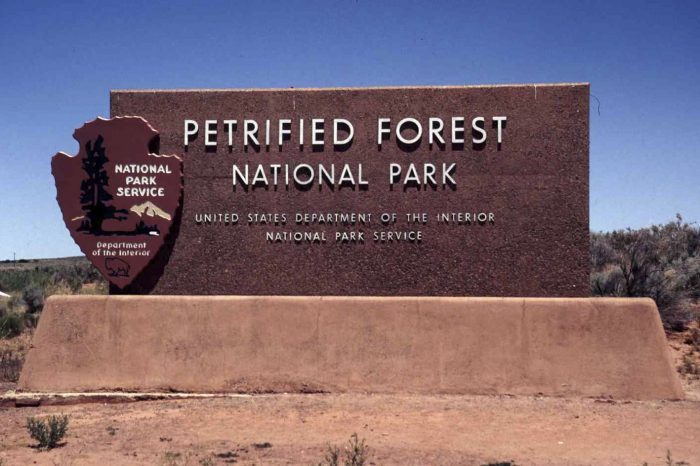 Petrified Forrest National Park