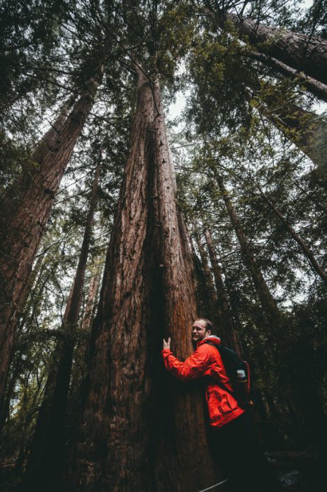 Redwood National Park - Californië