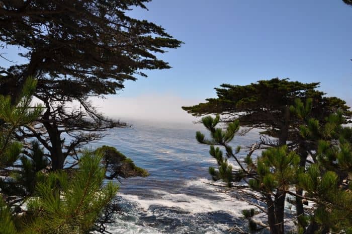 17 Mile Drive – Monterey – Californië – Scenic Drive