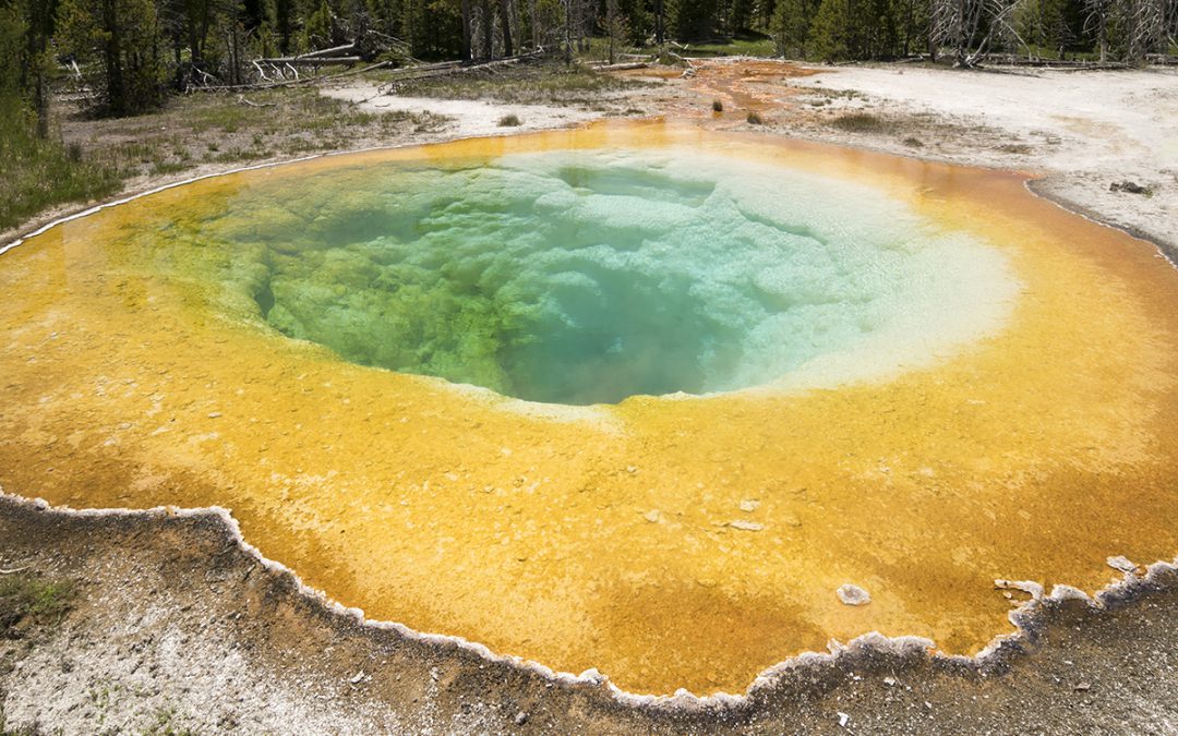 Yellowstone nationaal Park – Het eerste nationale park van de USA!