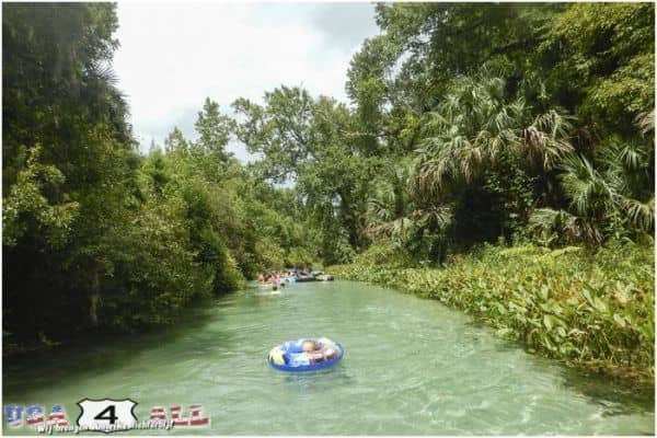 Kelly park - Florida - Heerlijk zwemmen in natuurlijk water!