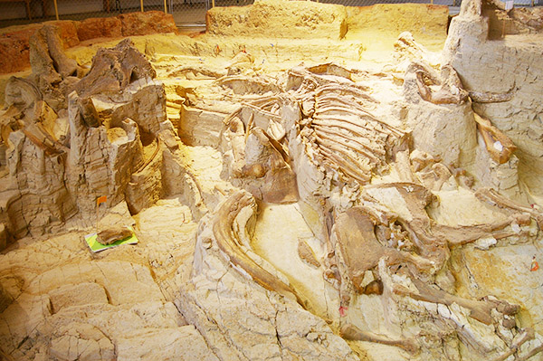 Mammoth site South Dakota